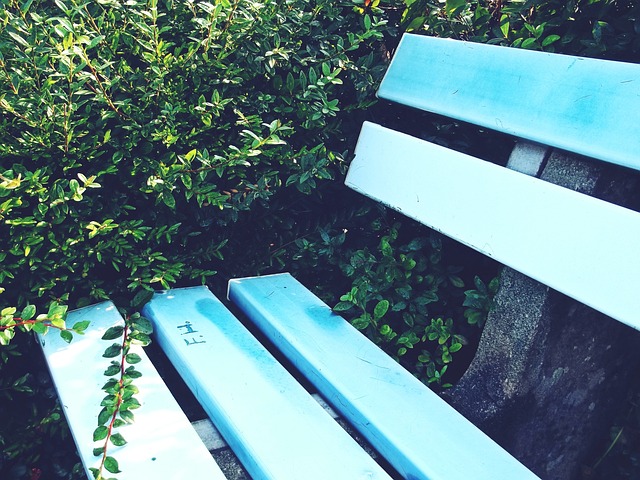 馬塔簽約日 馬塔簽約日