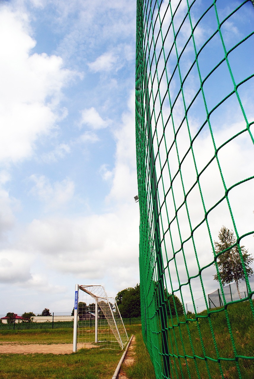 提高了泰山 提高了泰山