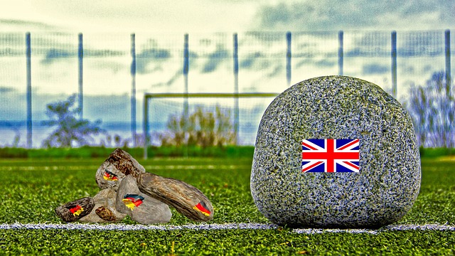 在比赛中 在比赛中