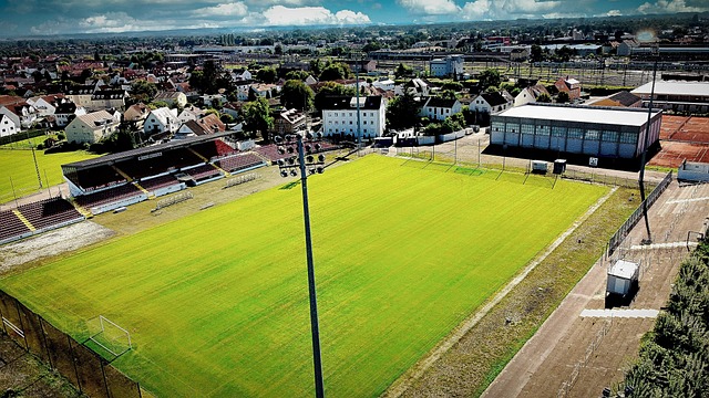 术的较量 术的较量